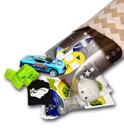 Boyish Surprise - Mystery Toy Bag for age 3+