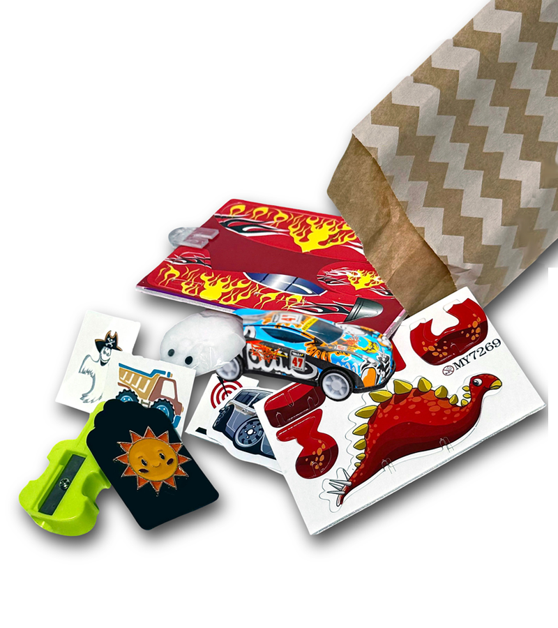 Boyish Surprise - Mystery Toy Bag for age 3+