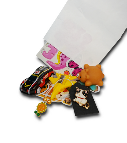 3 Pack Bag- Mixed Mystery - Mystery Toy Bag for age 3+