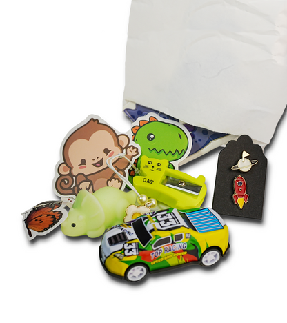 3 Pack Bag- Mixed Mystery - Mystery Toy Bag for age 3+